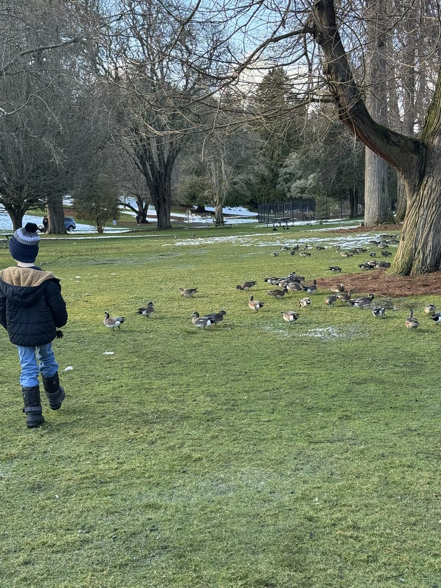 4eyedmonkey 🤓😎🥸 tweet media