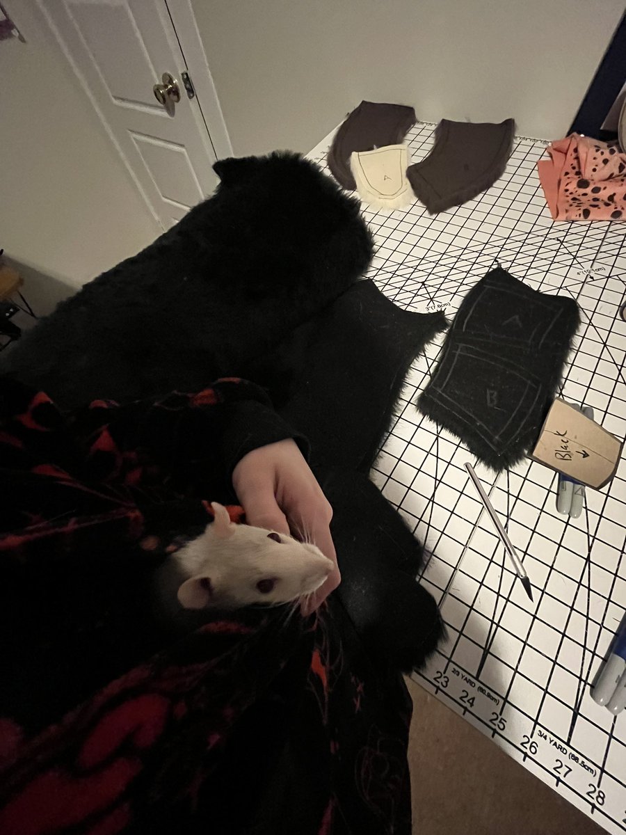 ⭐️Zero Dancing @ TFF ⭐️ tweet media