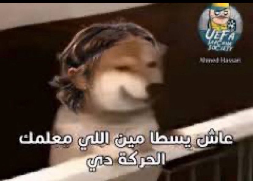 بطل النخبة| 3T tweet media