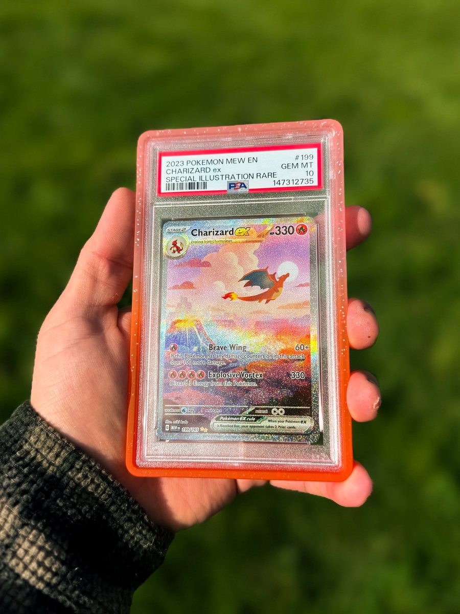 ‎ ⋆ ⋆ ⋆ ⋆ ⋆ tweet media