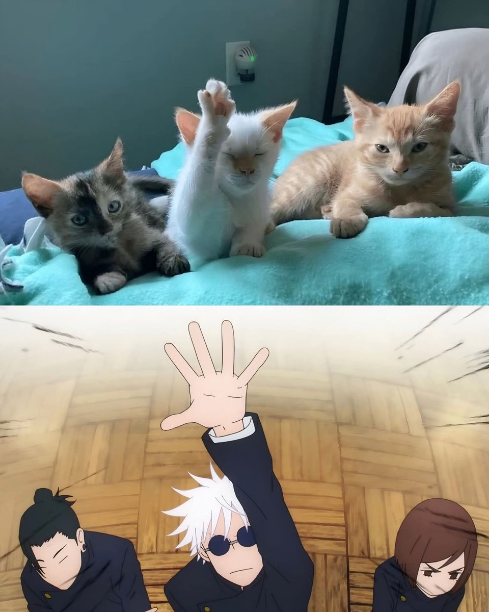 Anime Shots tweet media