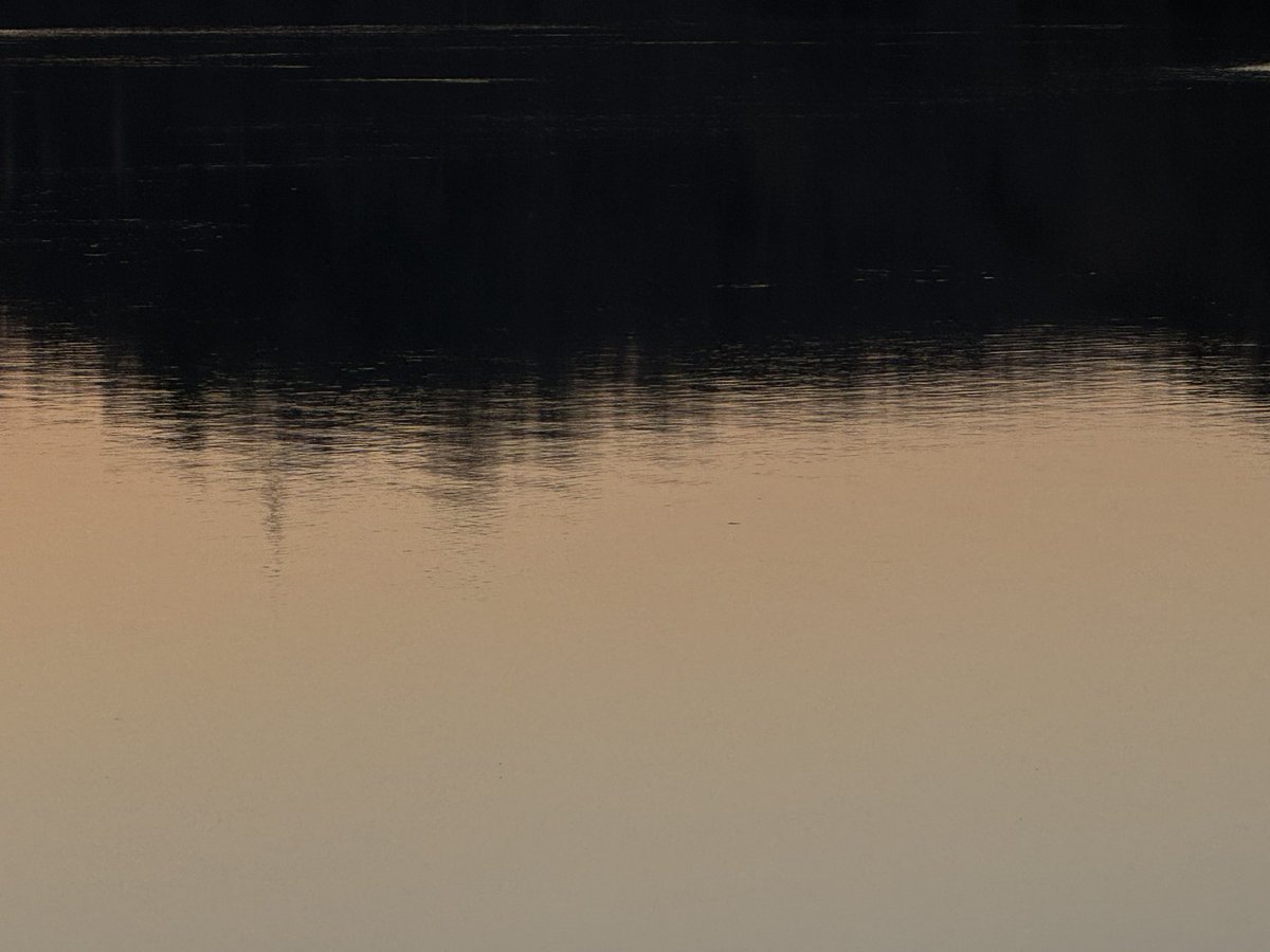 neu ※ ╦̵̵̿╤─ ʚ🤍ɞ tweet media