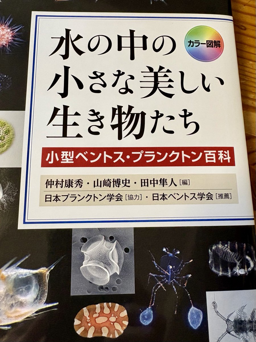 このすこーぷ tweet media