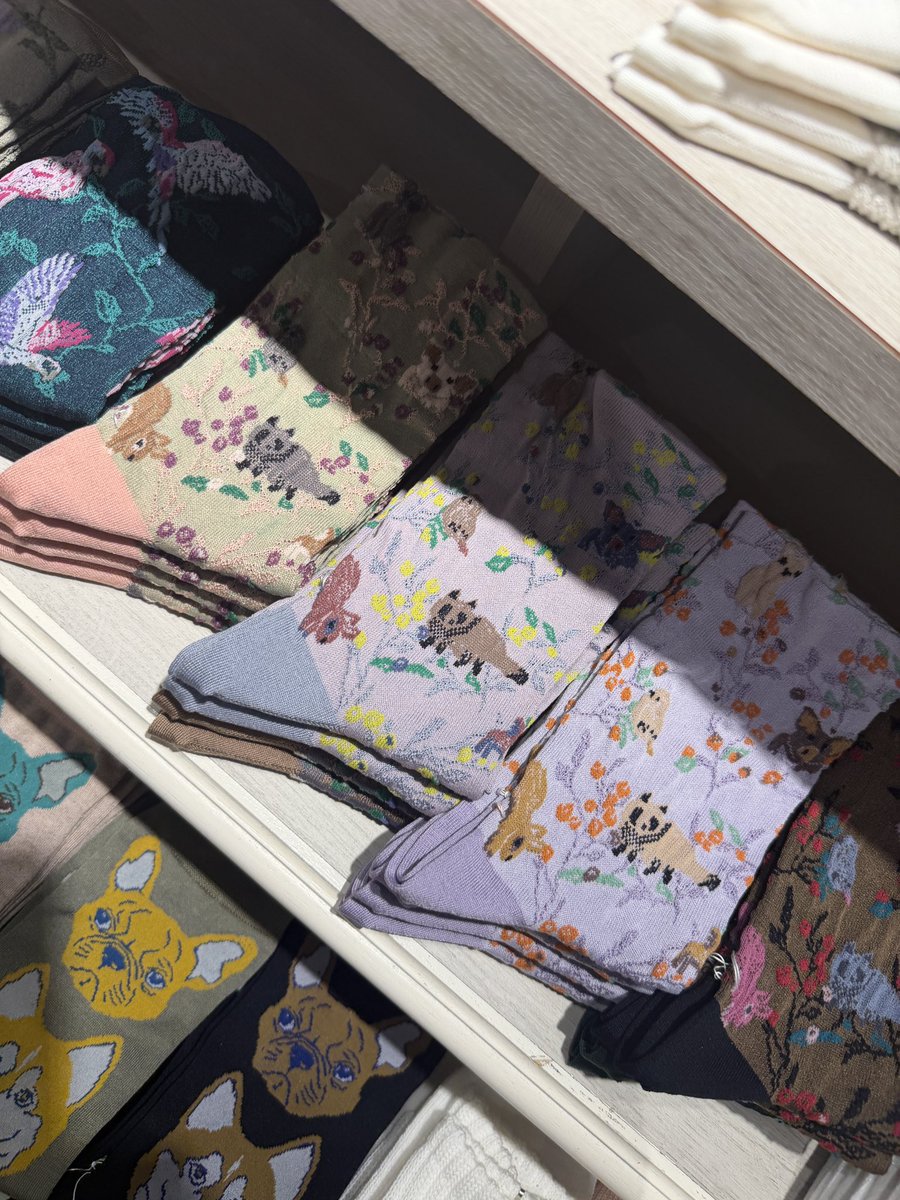 bunbunhakase's tweet photo. 靴下屋にたぬきいました
即買い🧦 https://t.co/F2ikEJqbTn