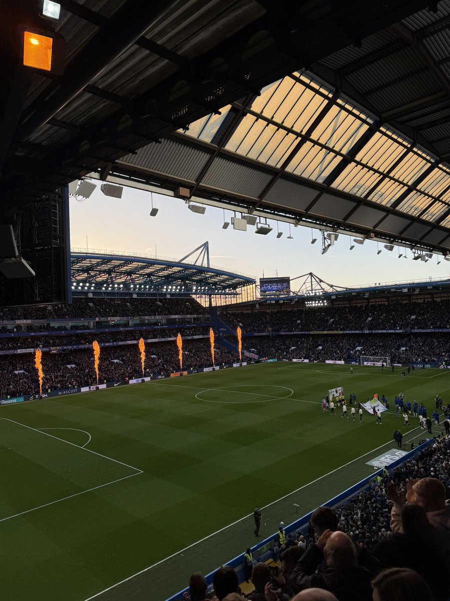 jack hall tweet media