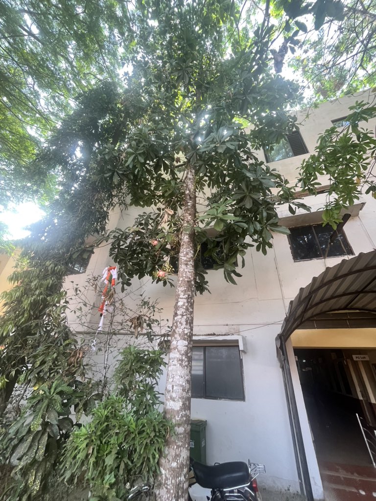 Sangram Chavan ARS tweet media