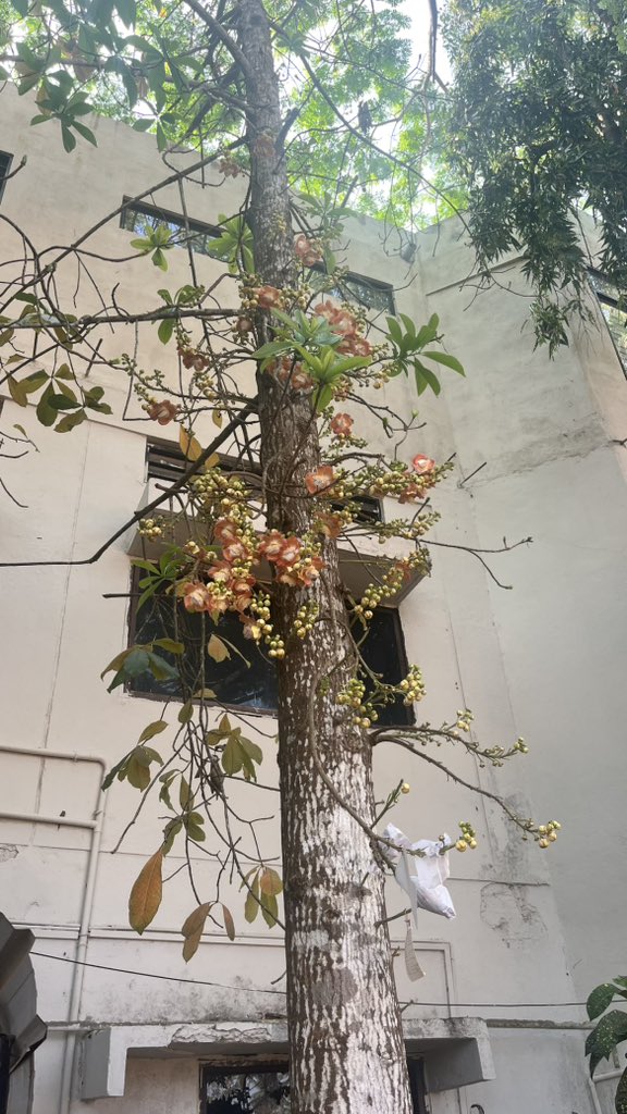 Sangram Chavan ARS tweet media