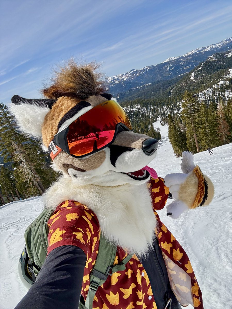 Wyatt Derp tweet media