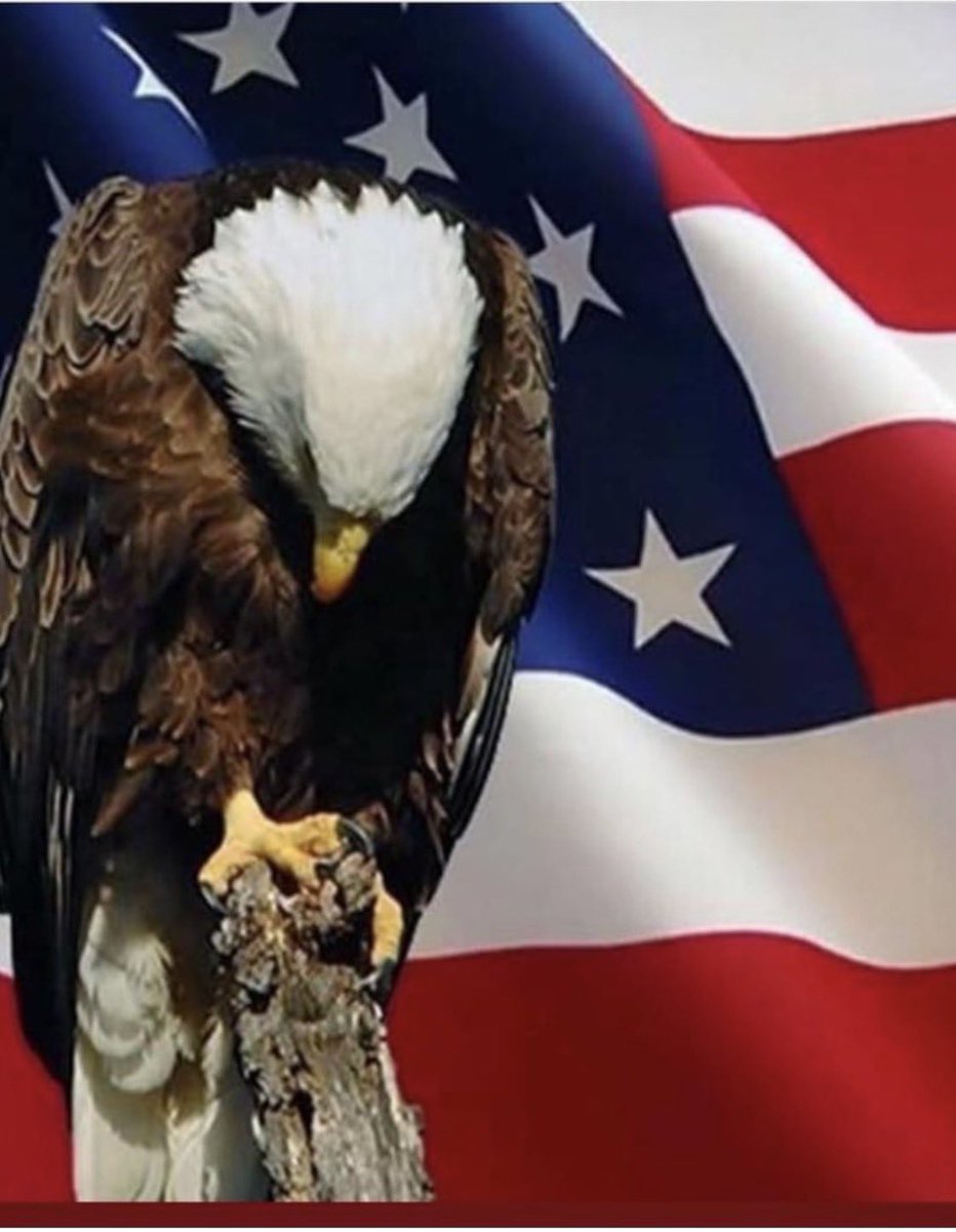 defense_civil25 tweet picture