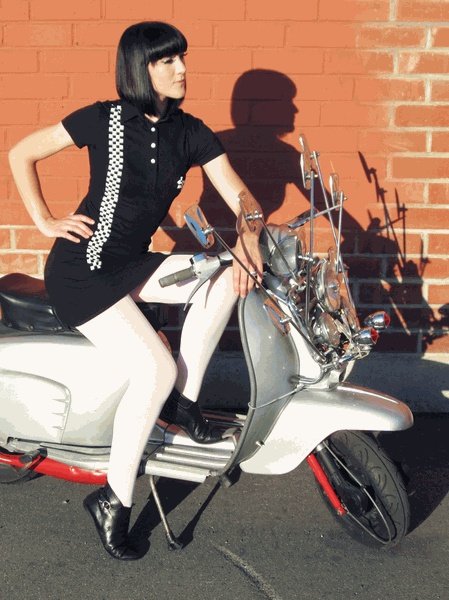 Sir Mushroom 🐖🐕 tweet media