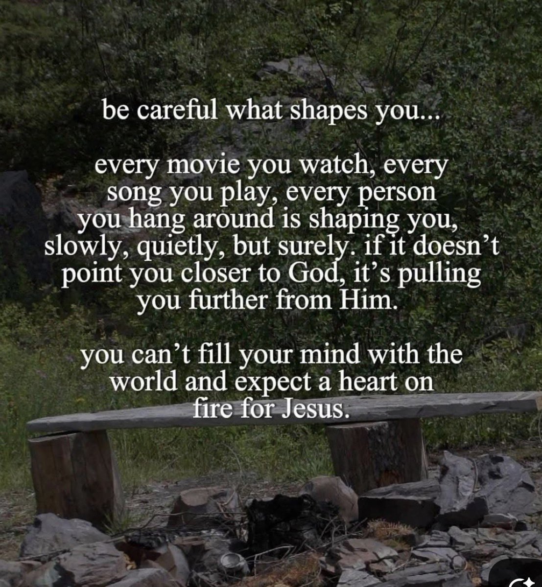 🌷 LIZZIE🌷 tweet media