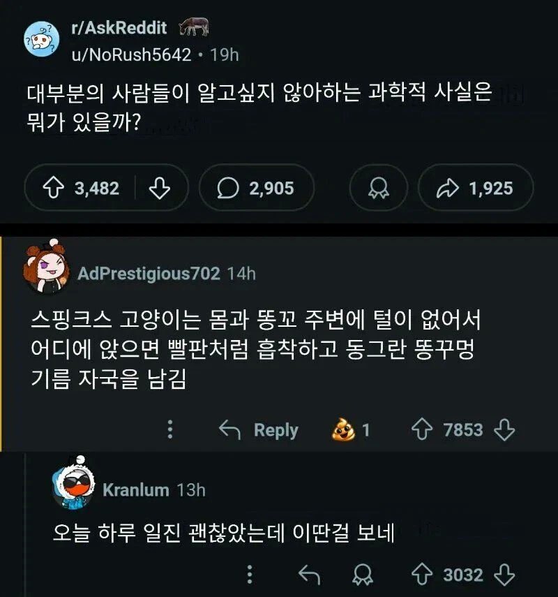좆같음 tweet media