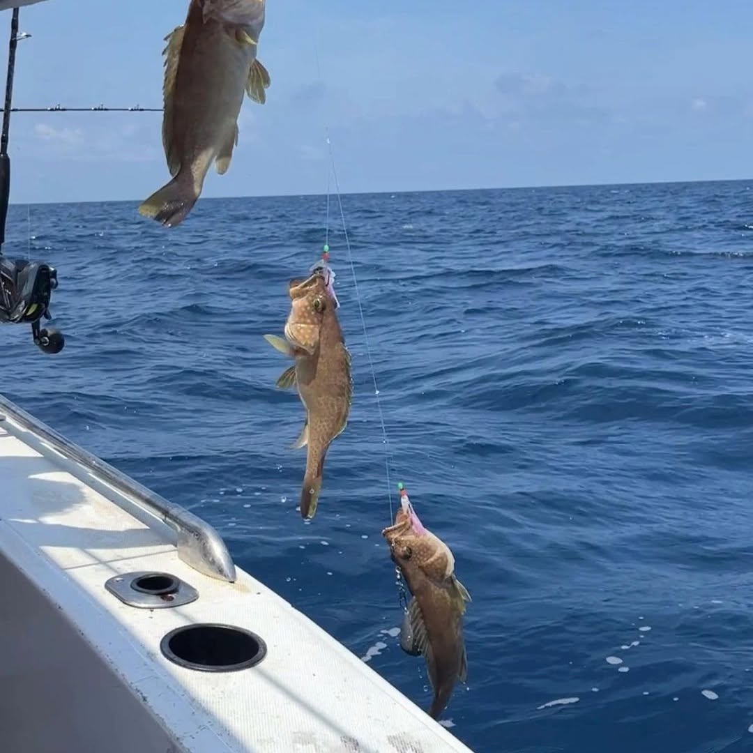 HzRufan's tweet photo. 海釣りは本当に面白いです！ ！
いろいろな小魚を収穫した🎣
.
.
.
.
.
#釣りをする #海釣り #ヨット #魚 #運動する #トレーニング #アウトドアイベント #旅をする #海 #砂浜 #東京 #東京グルメ #大阪 #大阪グルメ #ゴルフ #サーフィン #フィットネス #楽しい #週末 #旅をする #銀座 #銀座グルメ https://t.co/CwCh9daqmi