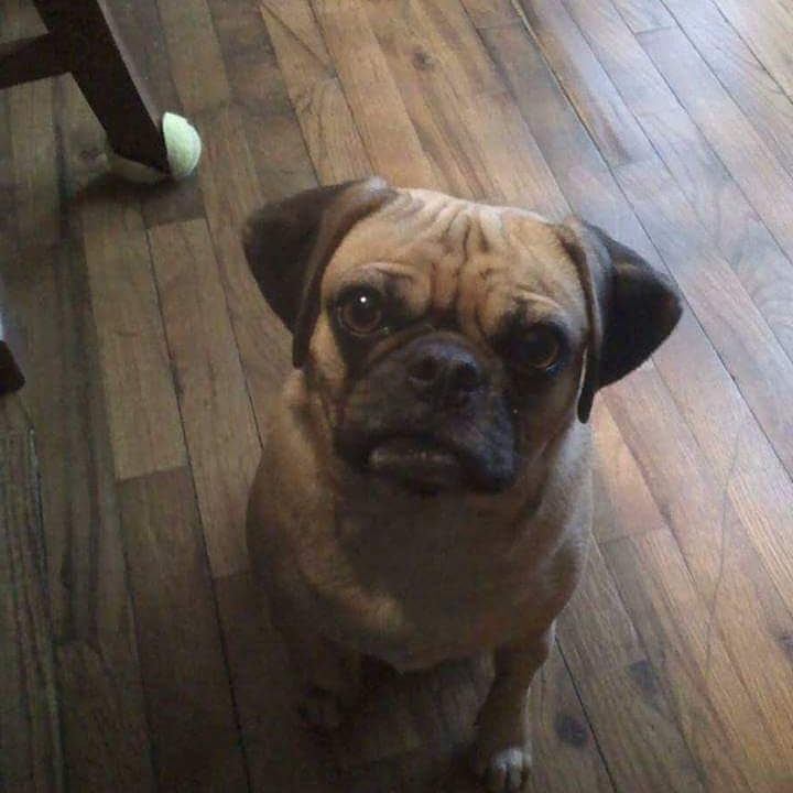 Billie sheets tweet media