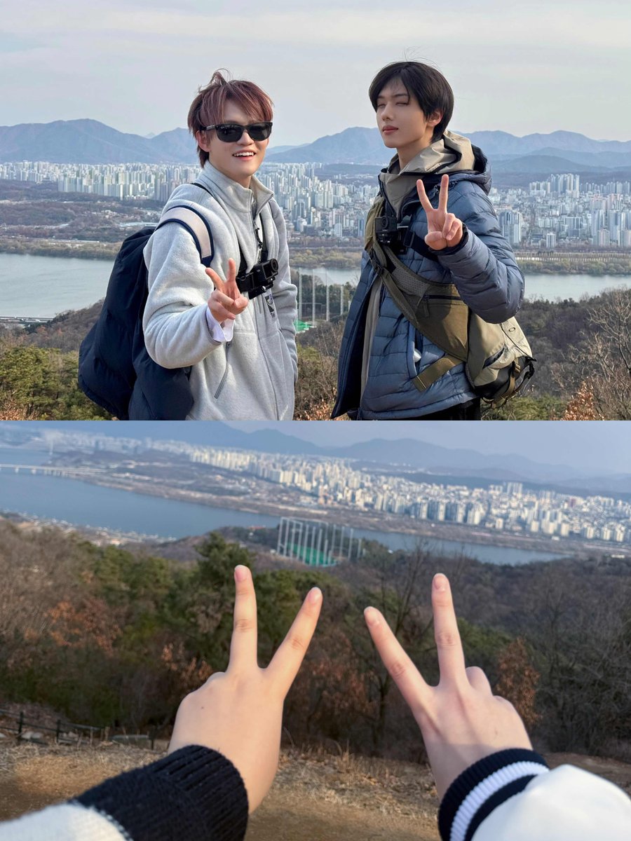 핑크스 tweet media