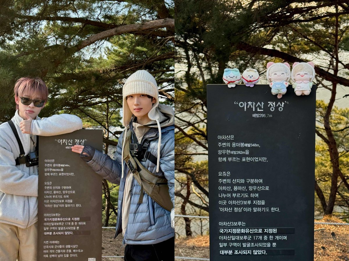 핑크스 tweet media