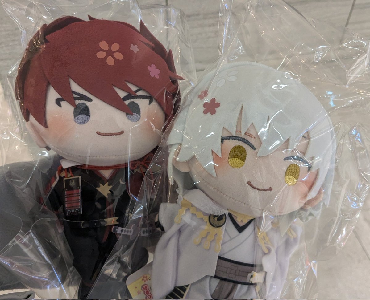 乃海(ノア) tweet media