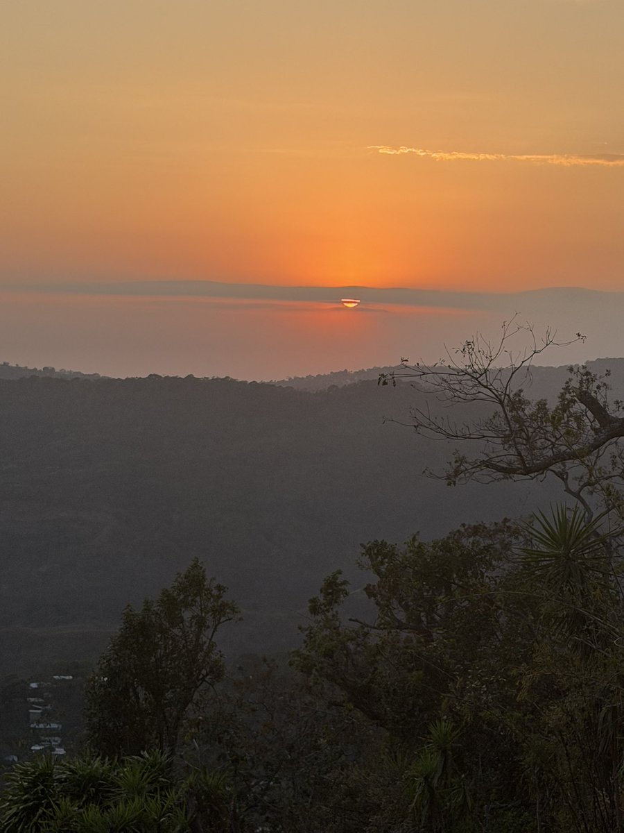 Will in paradise 🇸🇻 tweet media