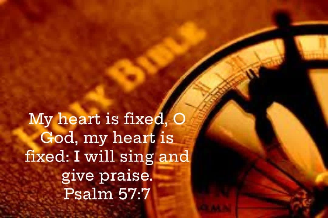 Tracy Killinger 🇺🇸 tweet media