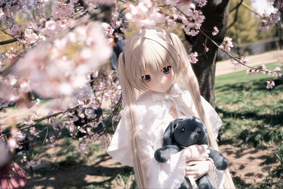 目代紅葉@阿红 tweet media