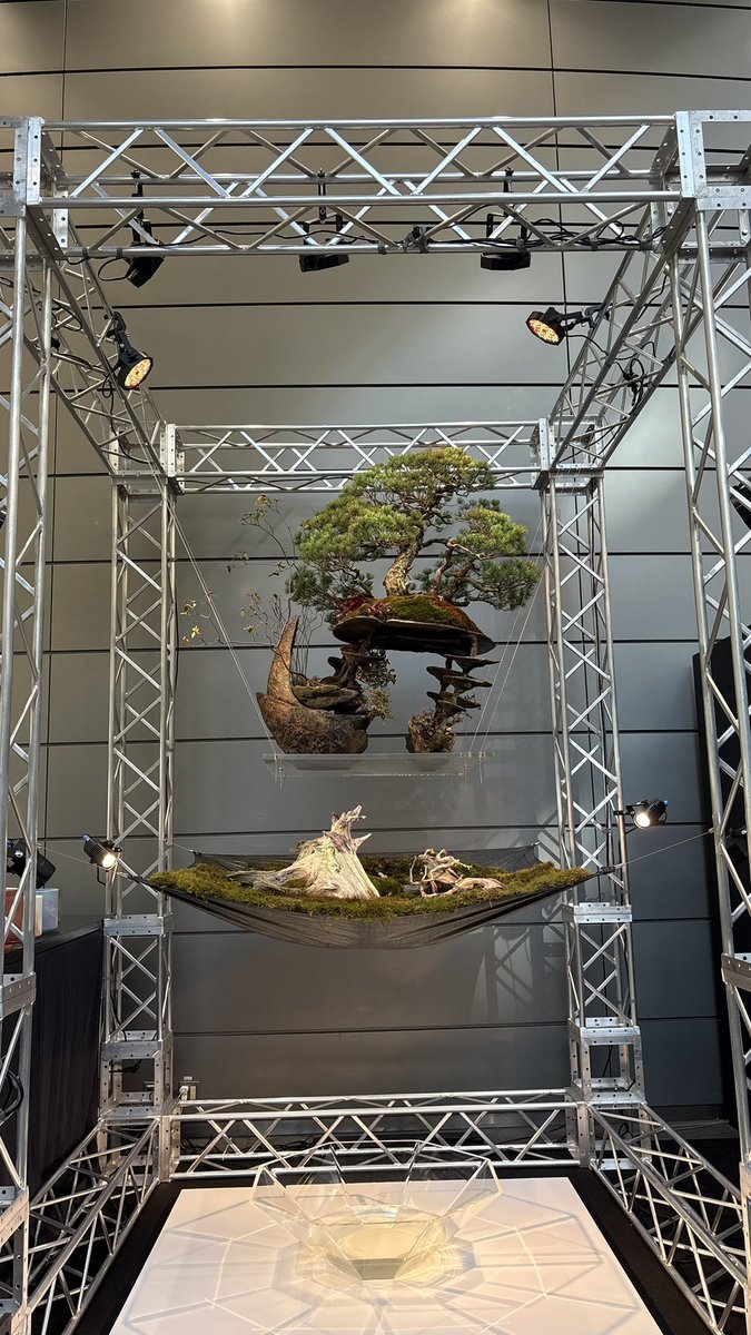 SOTA SUZUKI tweet media