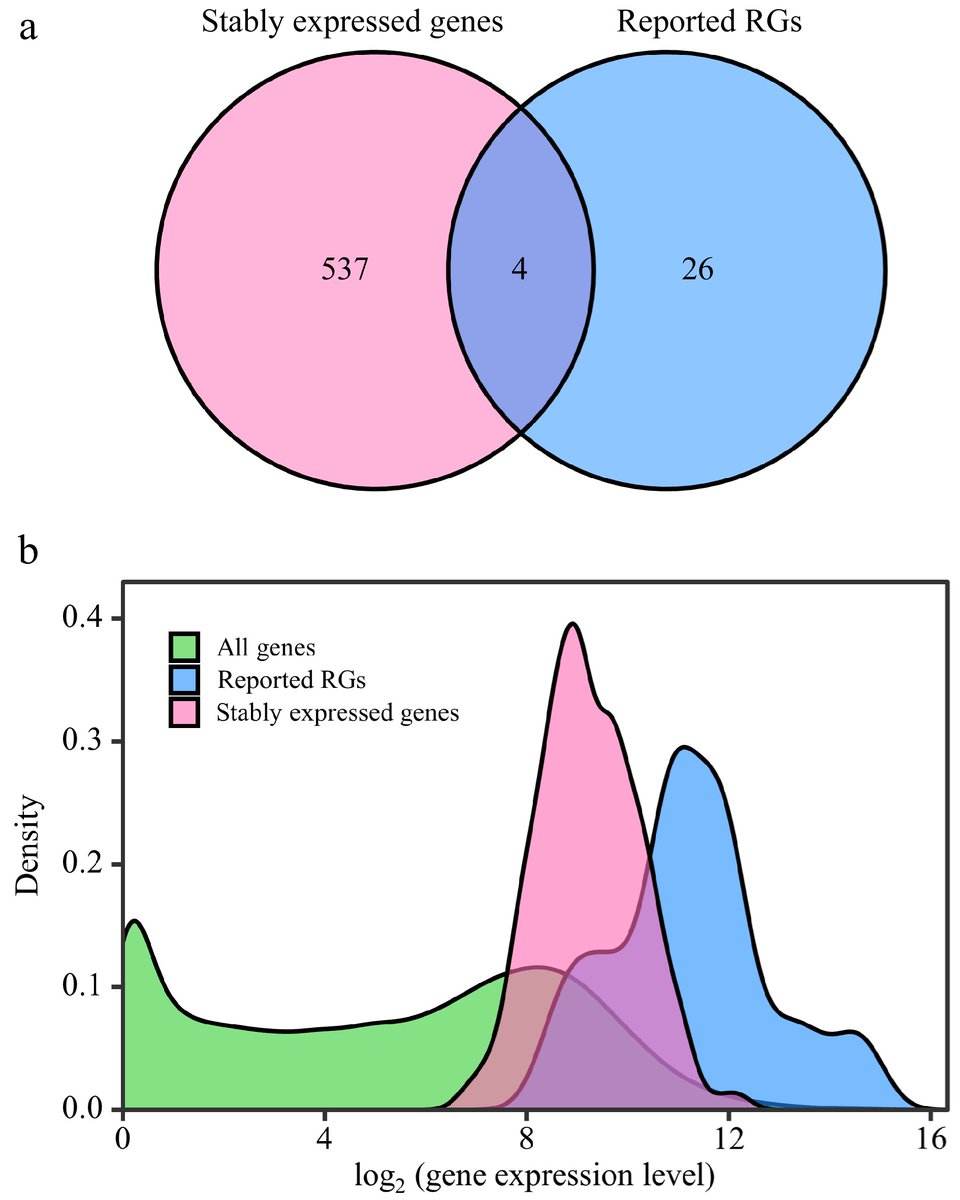 ForestryRes's tweet image. #ForestryRes #genes #poplar #pipeline
Streamline RT-qPCR analysis in poplar: 541 RGs identified via RNA-Seq and DESeq2. CNOT2, the top candidate, ensures accurate gene expression normalization under stress. 
@MaximumAcademic @ForestryFuture
Details: maxapress.com/article/doi/10…
