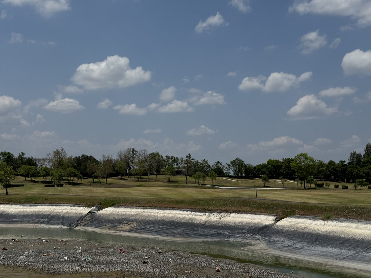 Rex Tattersall tweet media