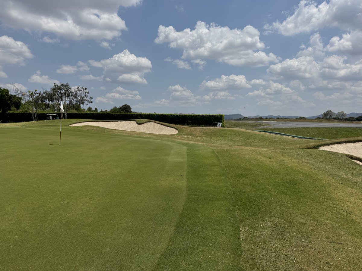 Rex Tattersall tweet media