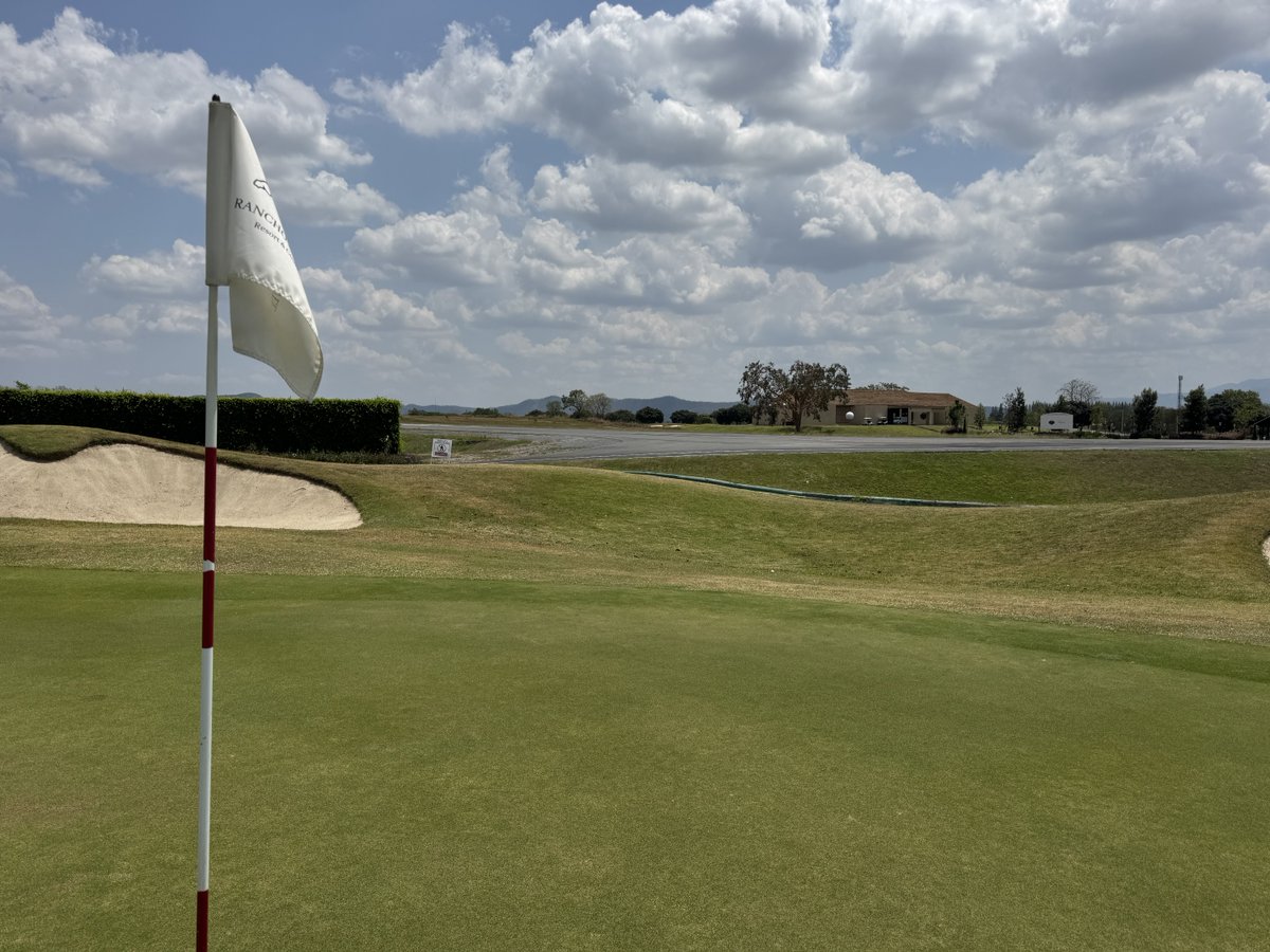 Rex Tattersall tweet media