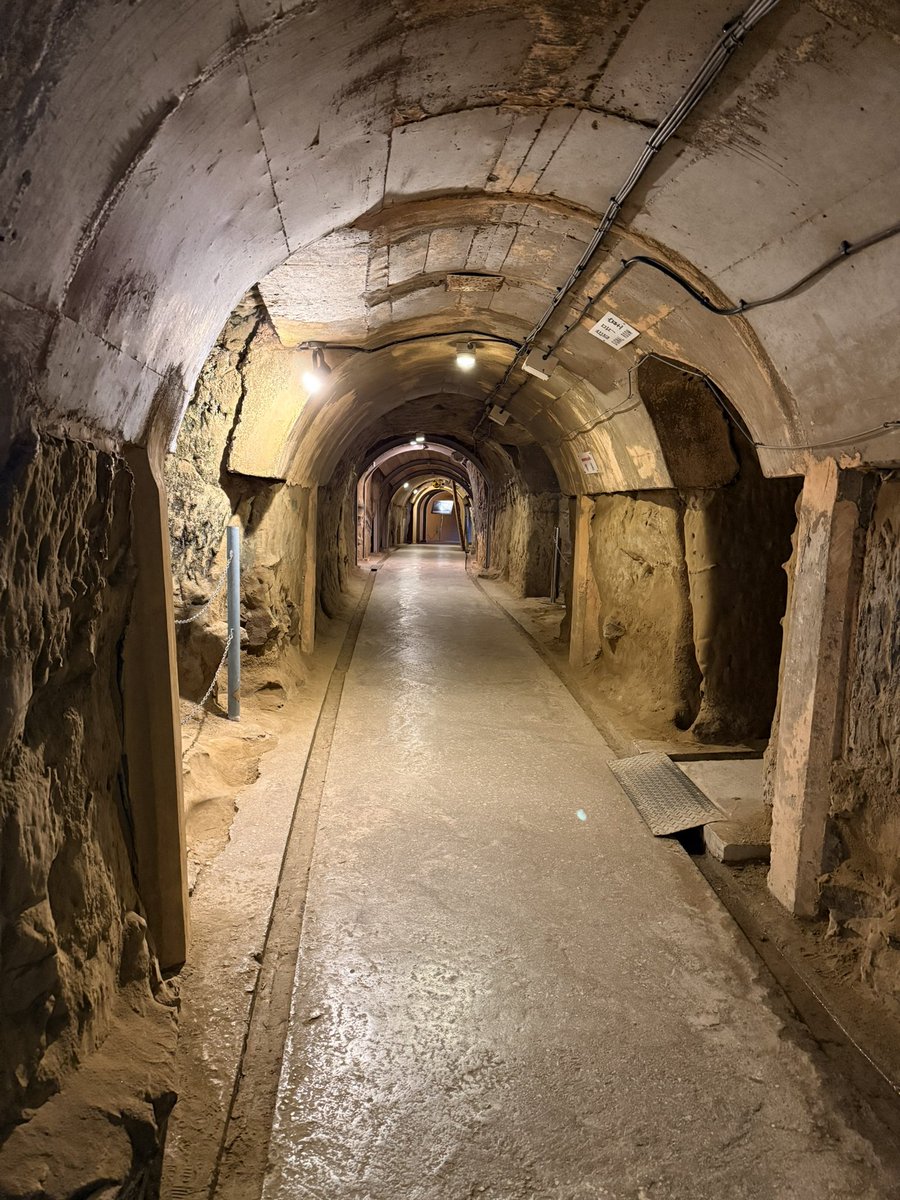 Priscilla tweet media