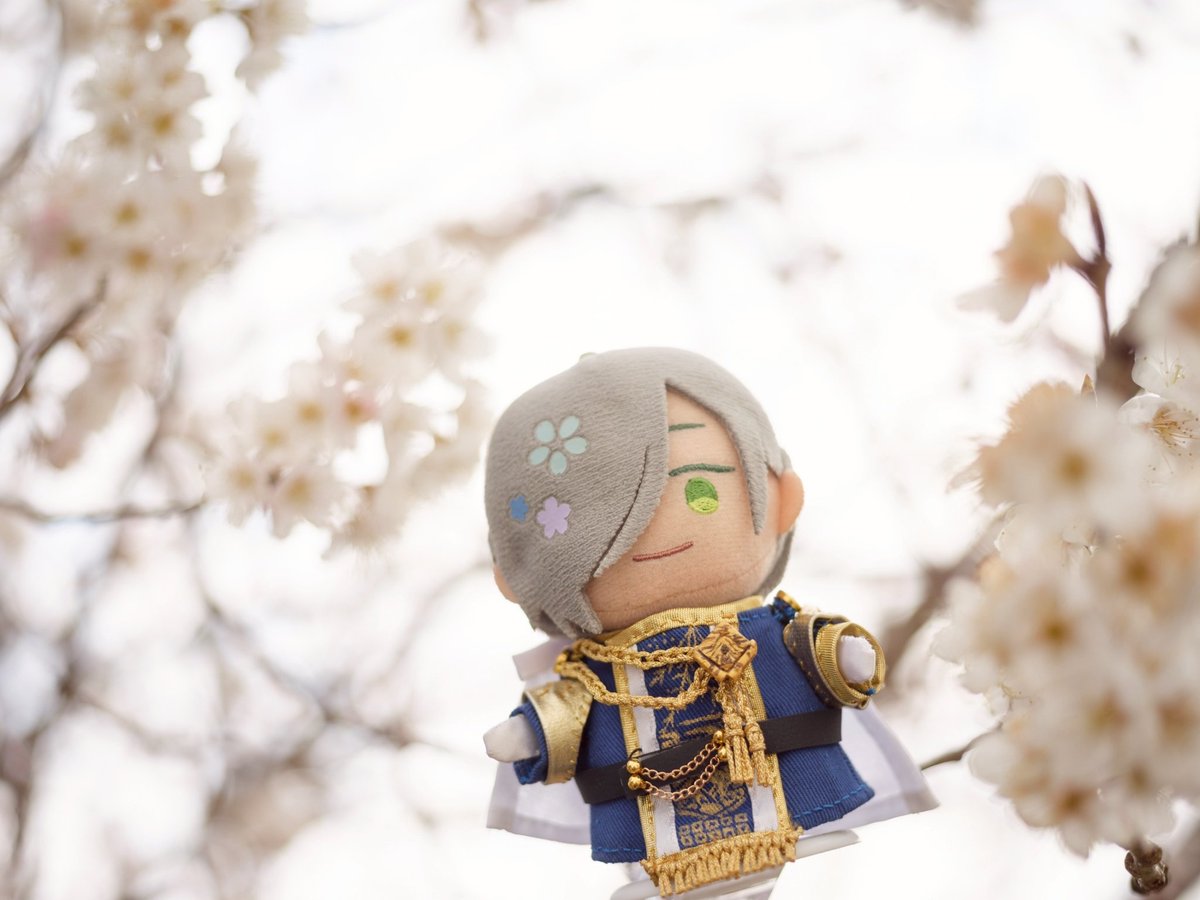 atra@視神経はさぬきうどん tweet media