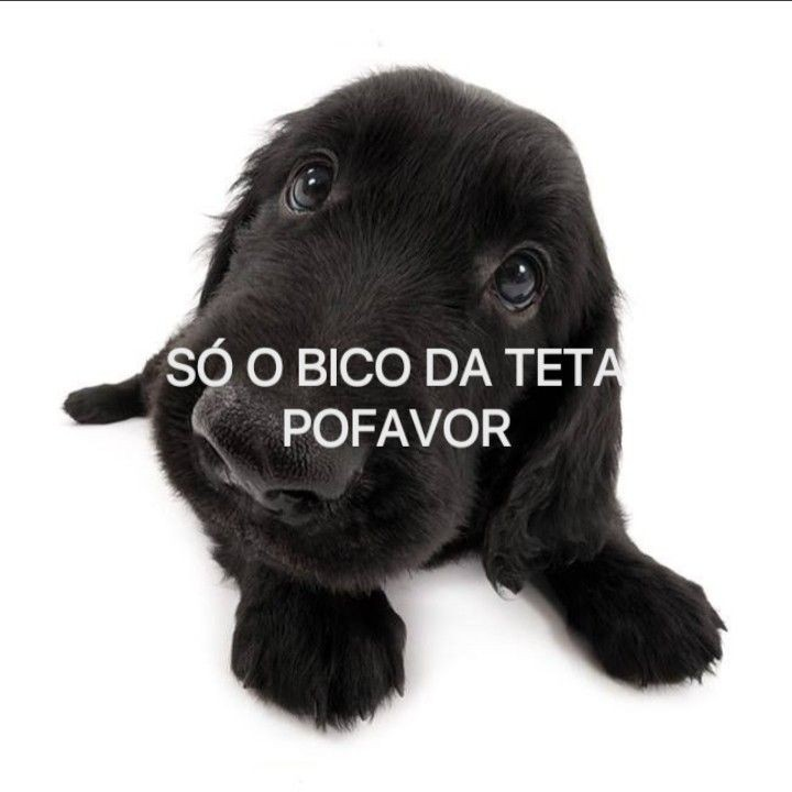 odeiootaco's tweet photo. https://t.co/63bBTNdMHE