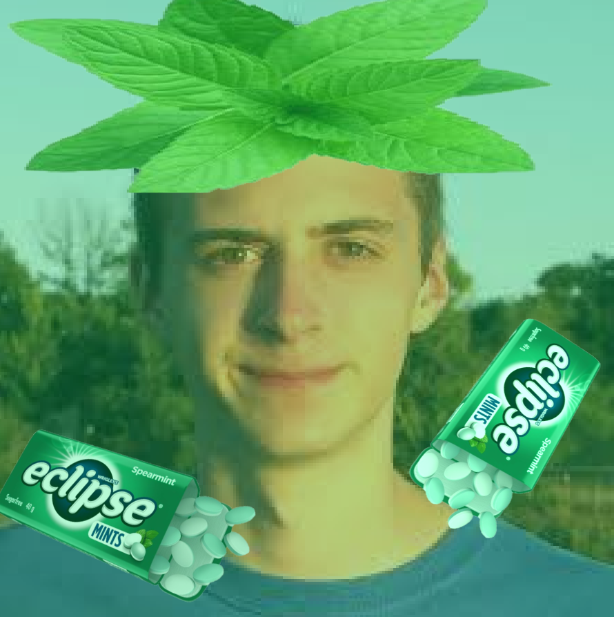 mintman12 tweet media