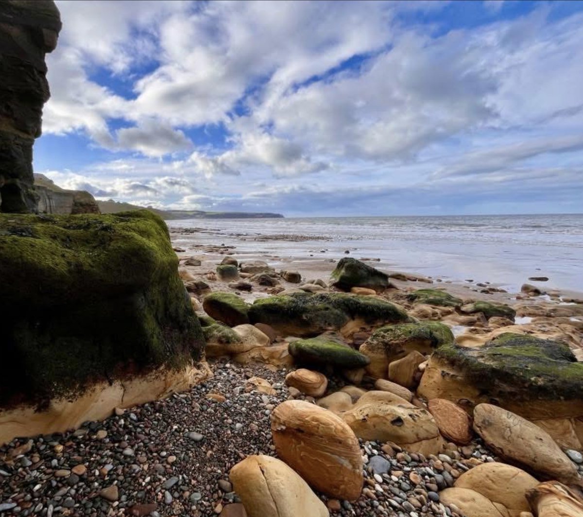 Sicilianomatt tweet media