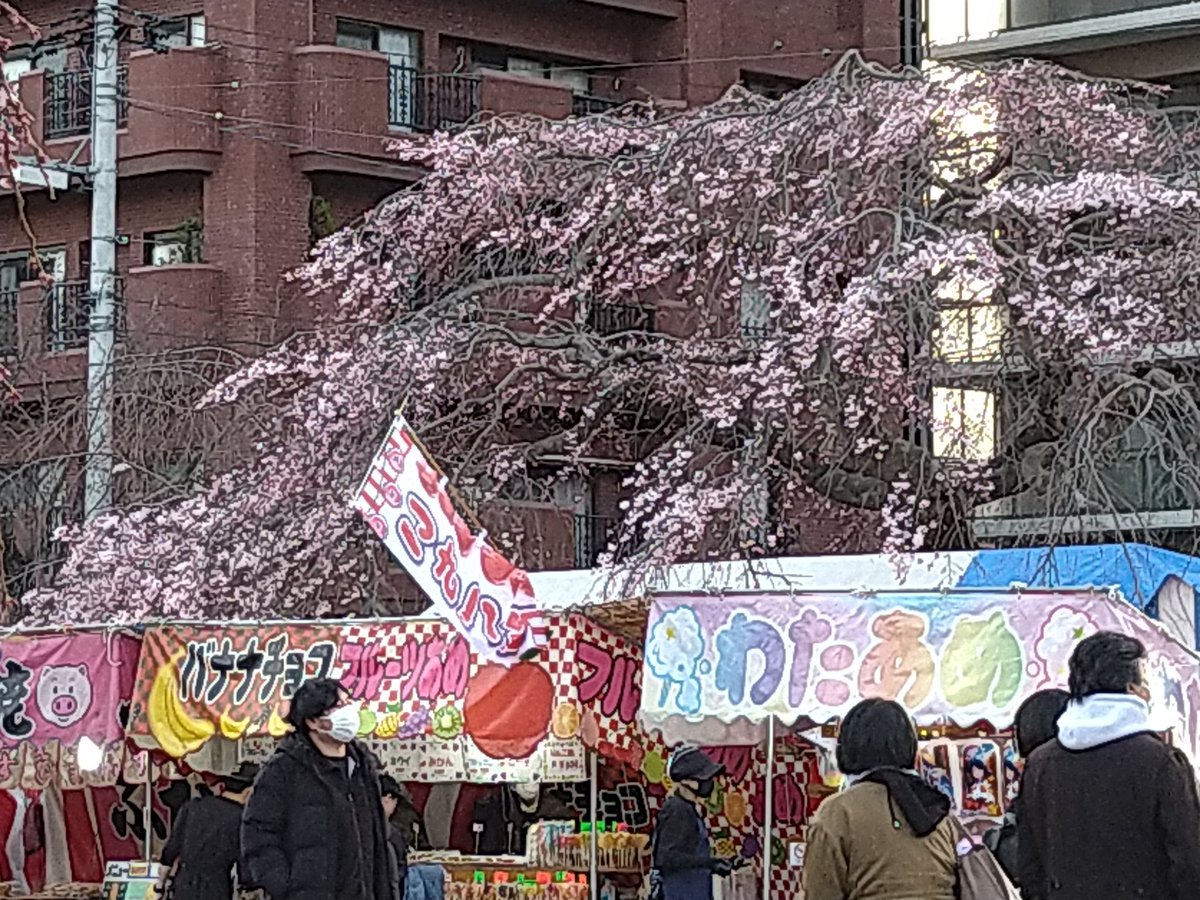 4/11お花見ロボ・TK-3（参加者募集中） tweet media