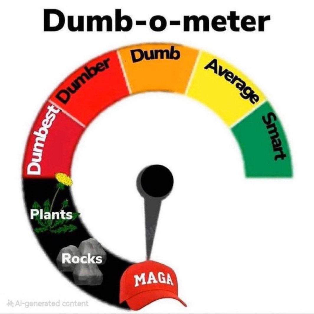 Aaron Darrenofsky tweet media