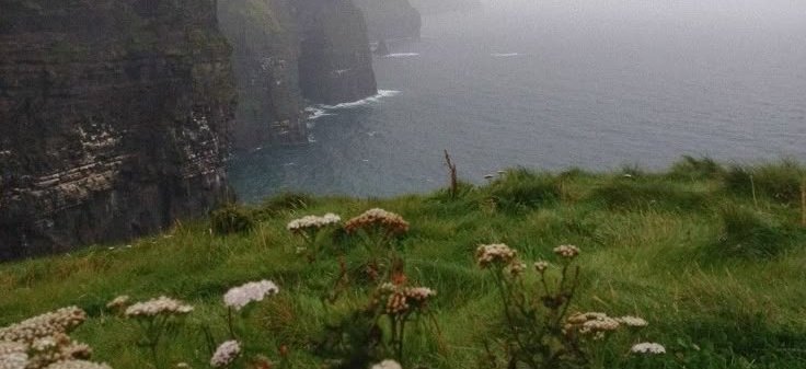 Rubylicious 🍀 tweet media