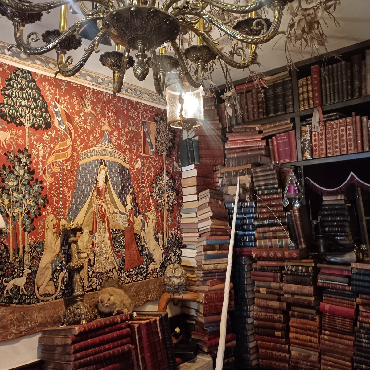 cotori_art's tweet photo. 高円寺lecurioさんに点滴堂さん企画展「春色小鳥園」DM置いていただきました。一角獣のお部屋凄かったです🦄トゥーティッキさんにも、少なくなっていたので、追加で置いていただきました🐥🌷 https://t.co/96H86qqzjJ