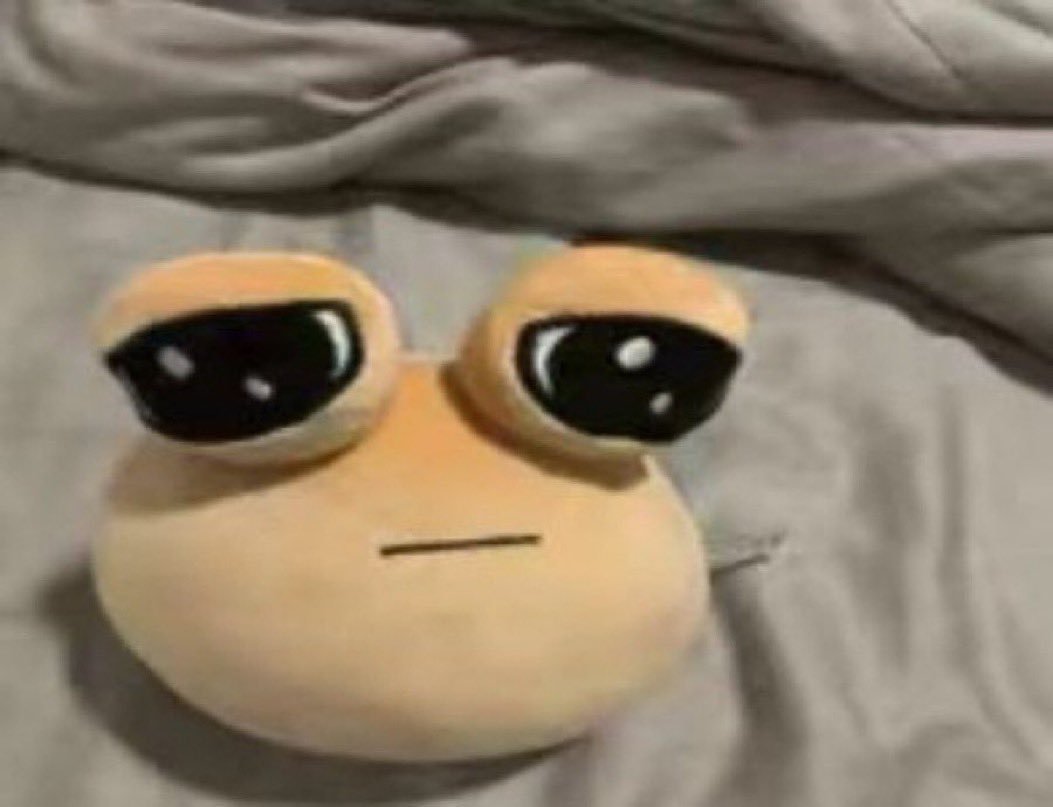 New Zealand OWWC tweet media