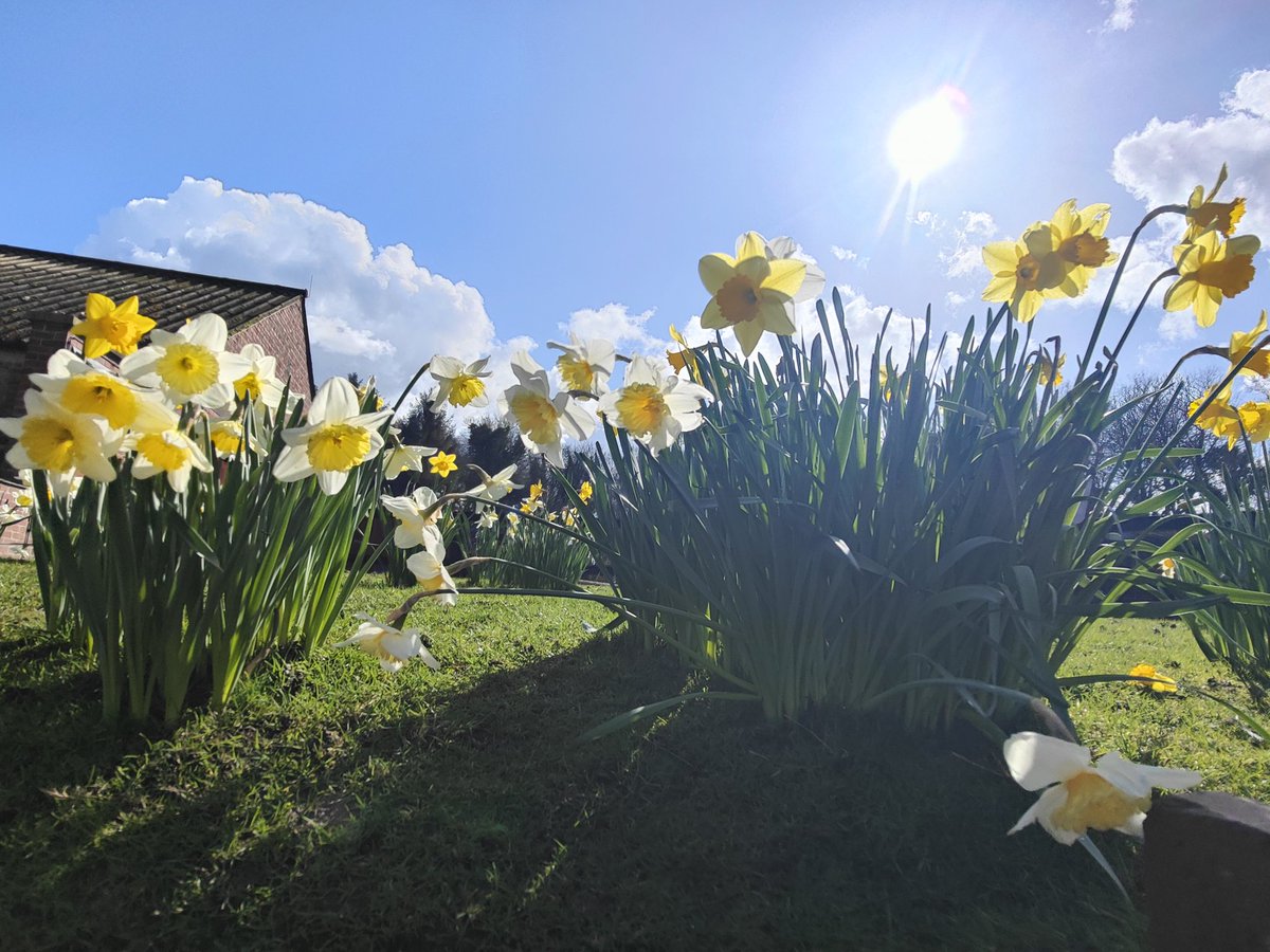 Gav Cass tweet media