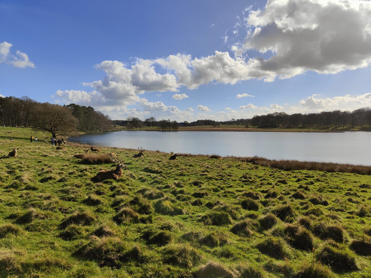 Gav Cass tweet media