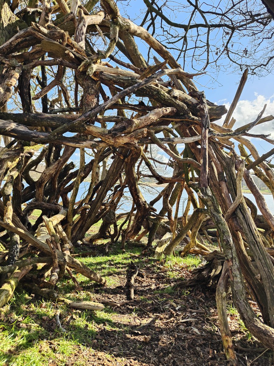 Gav Cass tweet media