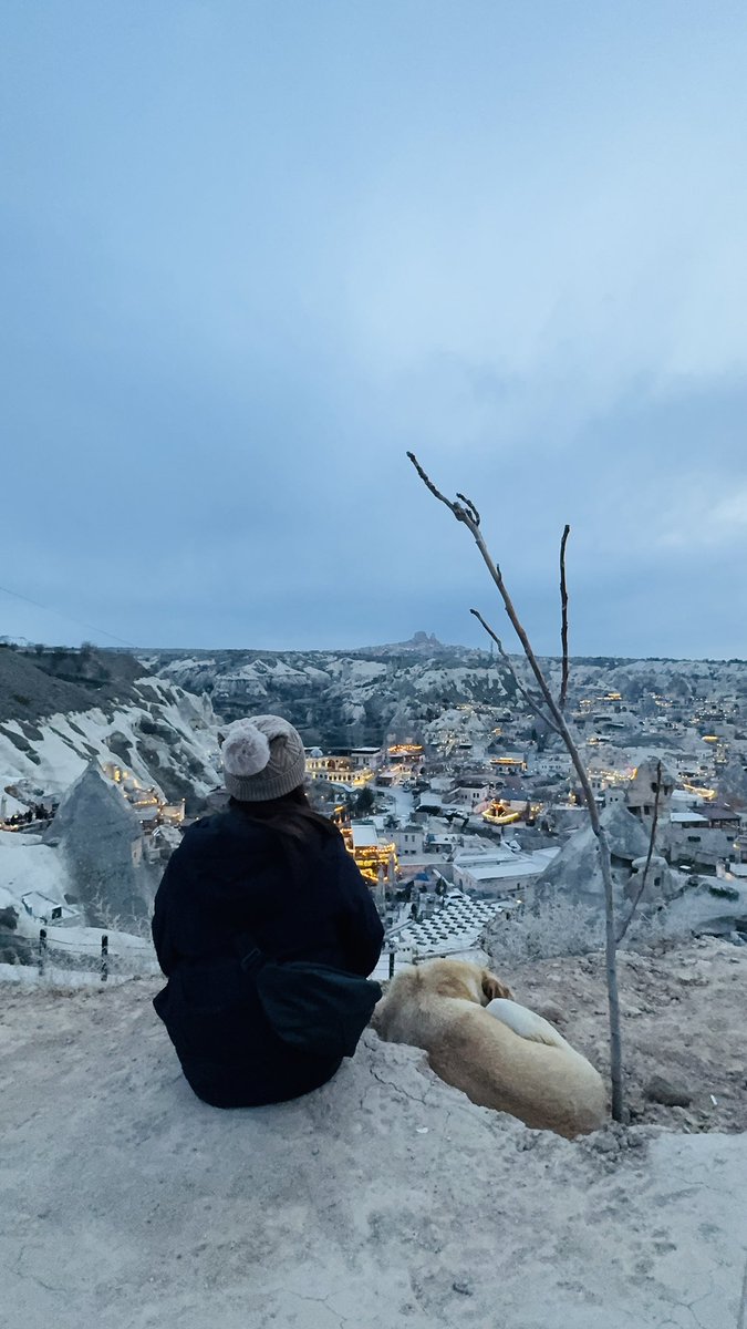 こもりん🌏在宅ワークで世界一周 tweet media
