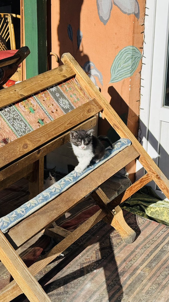 こもりん🌏在宅ワークで世界一周 tweet media