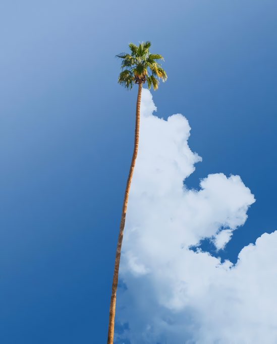 aesthetic (@purepeaceful) on Twitter photo 