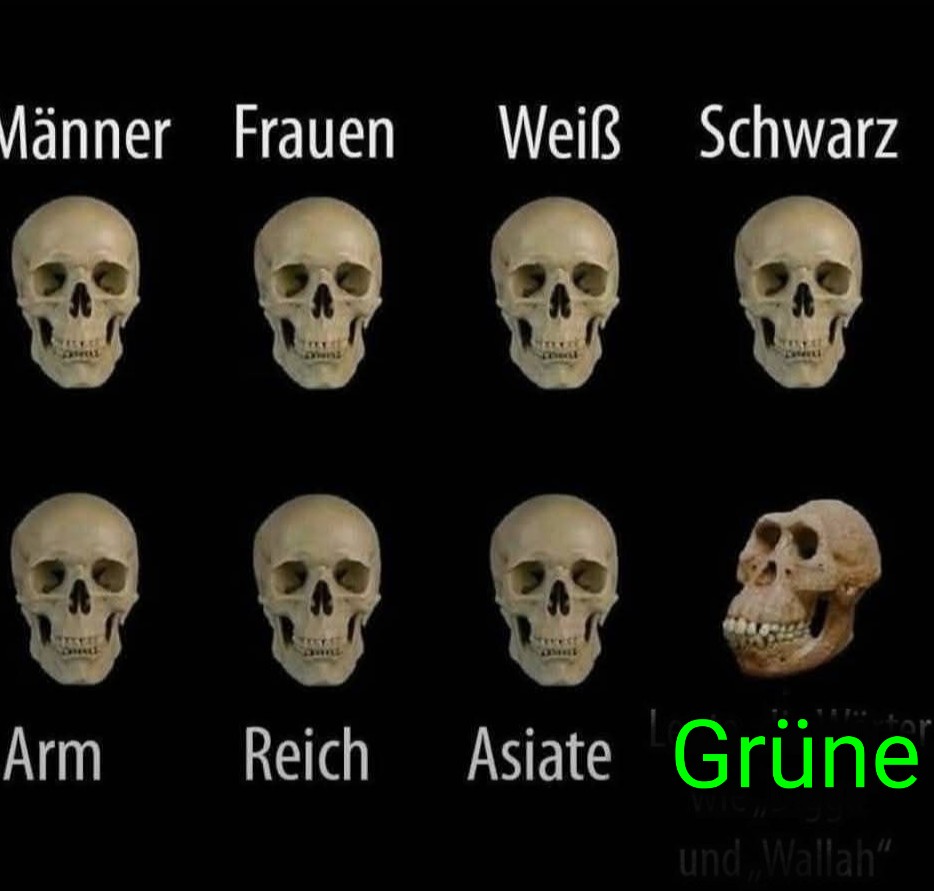 Hirtermichi™ (alles nur Satire!) 💙🇦🇹🍅🍺🥝 tweet media