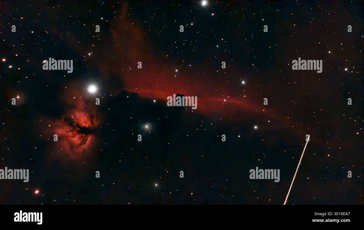 Malcolm Park tweet media