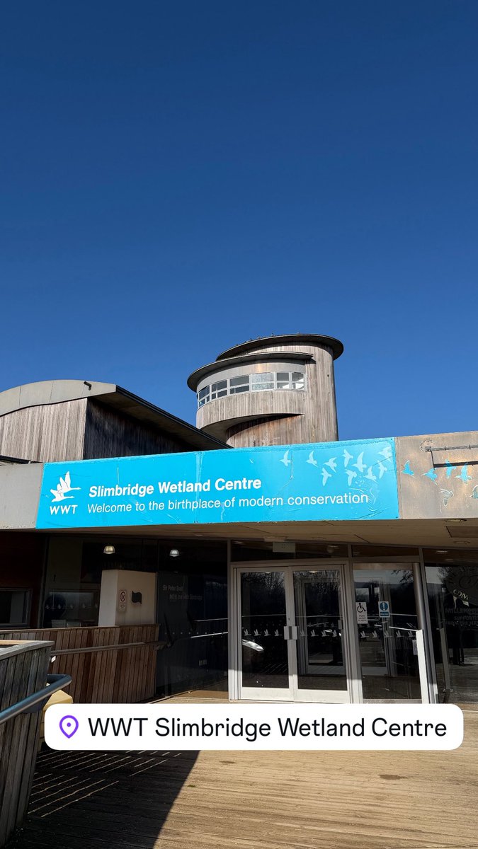 Joanna 📷 tweet media