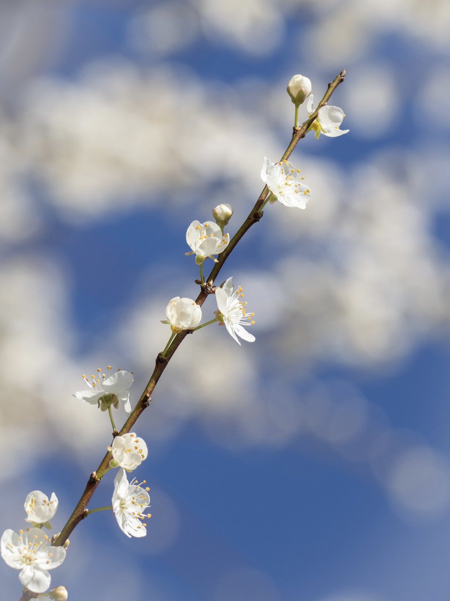 Joanna 📷 tweet media