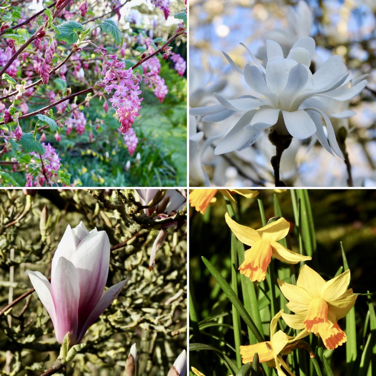 Steve Waldron tweet media